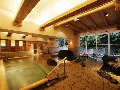 Ryokan Ooedo Onsen Monogatari Premium New Shiobara Nasushiobara